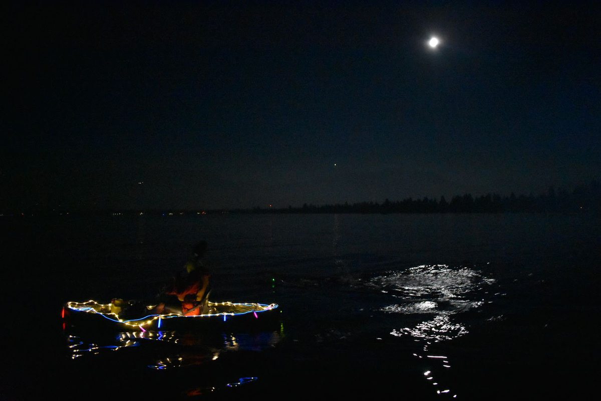 kayak in the moonlight